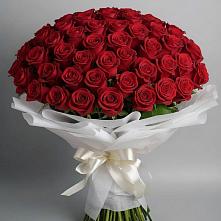Букет 101 Красная роза Блэк Мэджик в Стремилово