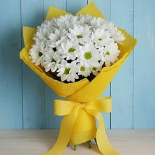 Букет цветов из:  Хризантемы в Стремилово