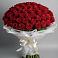 Букет 101 Красная роза Блэк Мэджик в Стремилово