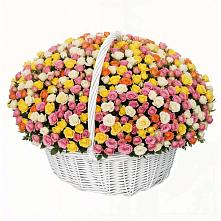 Премиум букет из: Розы #REPLACE_PRED# Стремилово