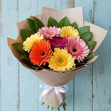 Букет цветов из:  Герберы #REPLACE_PRED# Стремилово