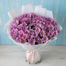 Букет цветов из:  Хризантемы в Стремилово