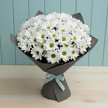 Букет цветов из:  Хризантемы в Стремилово