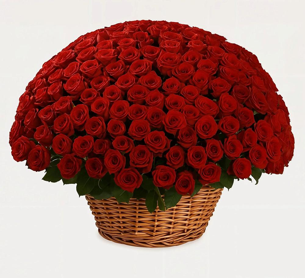 Премиум букет из: Розы в Стремилово