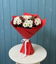 Букет цветов из:  Хризантемы #REPLACE_PRED# Стремилово