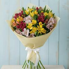 Букет цветов из:  Альстромерии в Стремилово