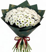 Букет цветов из:  Хризантемы в Стремилово