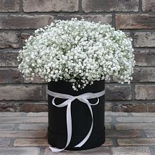 Цветочная композиция из Гипсофила в шляпной коробке в Стремилово