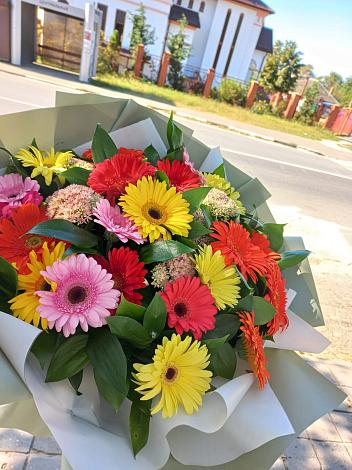 Букет цветов из: Герберы в Стремилово